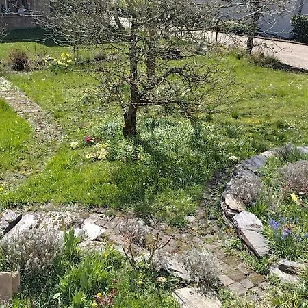 Melba Traben-Trarbach