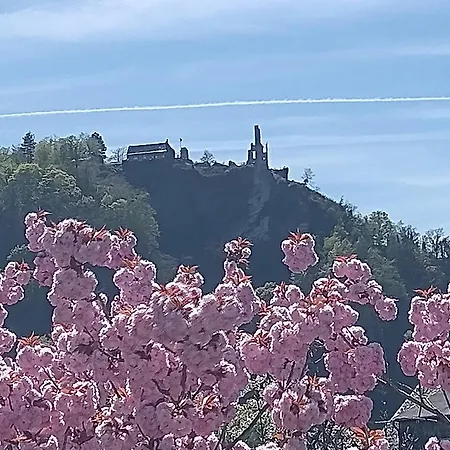 Melba Verbandsgemeinde Traben-Trarbach