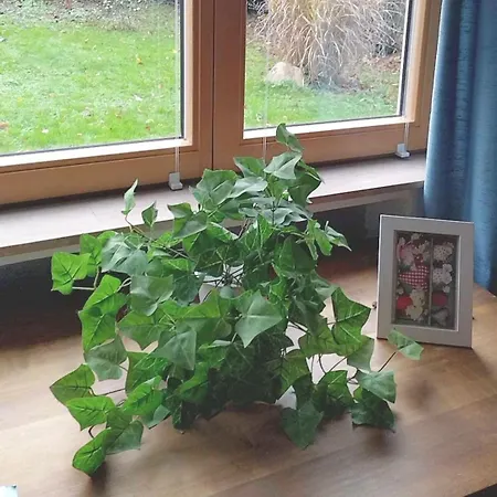 Melba Daire Traben-Trarbach