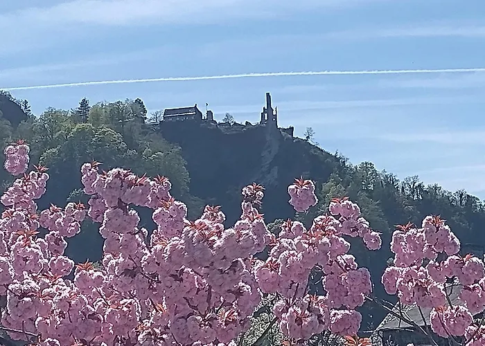 Melba Traben-Trarbach