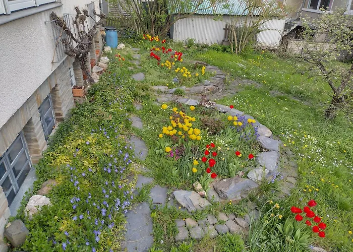 Melba * Traben-Trarbach