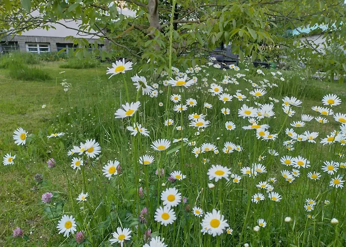 Apartamento Melba Traben-Trarbach